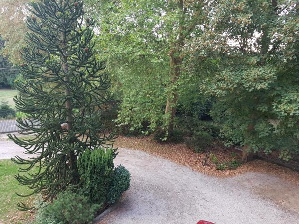 Château Moulinsart Hotel-Resto-Long Term Parking, shuttle airport, snooker, large terrasse : photo 8 de la chambre chambre lit king-size supérieure
