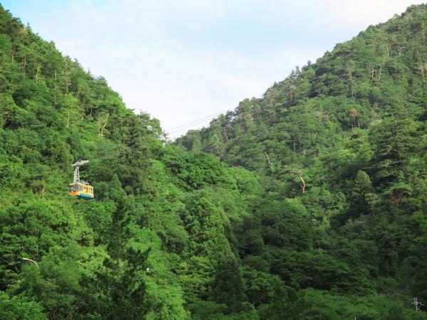 Okuno Hosomichi : photo 2 de la chambre chambre lits jumeaux avec salle de bains privative séparée