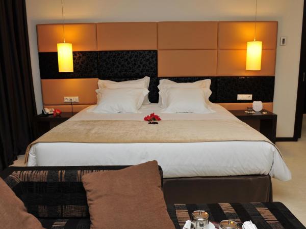 Axis Porto Business & Spa Hotel : photo 2 de la chambre suite présidentielle