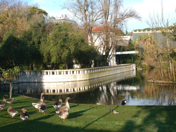 Hotel Miraparque : photo 5 de la chambre chambre double ou lits jumeaux - vue sur parc