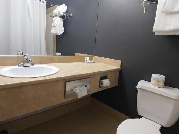 Super 8 by Wyndham Quebec City : photo 4 de la chambre chambre lit king-size - non-fumeurs