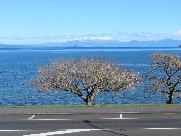 Baycourt Lakefront Motel : photo 3 de la chambre appartement - vue sur lac