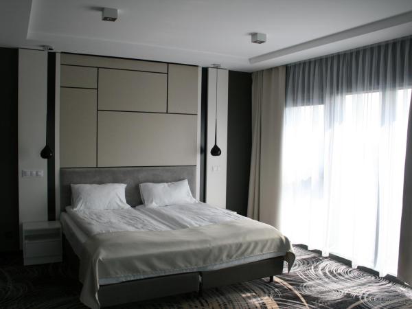 Ambasador Premium : photo 10 de la chambre appartement en duplex