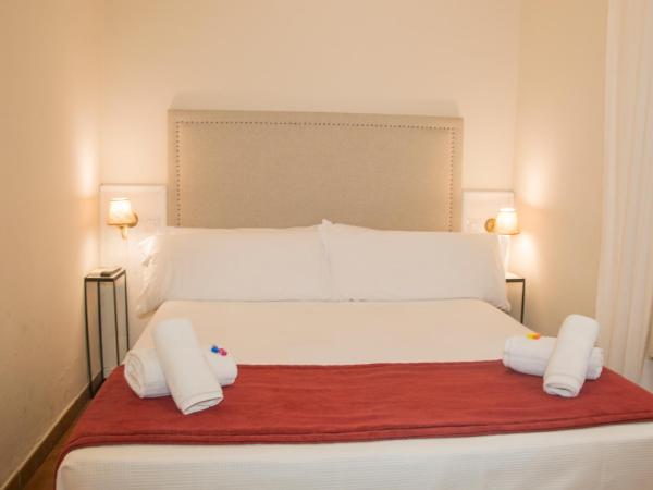 Hostal Callejon del Agua : photo 4 de la chambre chambre double ou lits jumeaux Économique