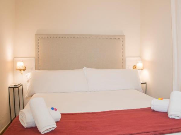 Hostal Callejon del Agua : photo 6 de la chambre chambre double ou lits jumeaux Économique