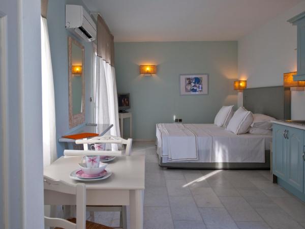 Ammos Naxos Exclusive Apartments & Studios : photo 1 de la chambre studio deluxe