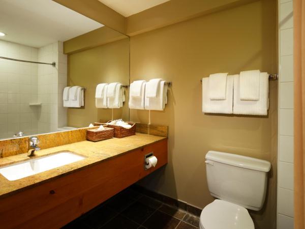 Buffalo Mountain Lodge : photo 2 de la chambre chambre avec 2 grands lits queen-size