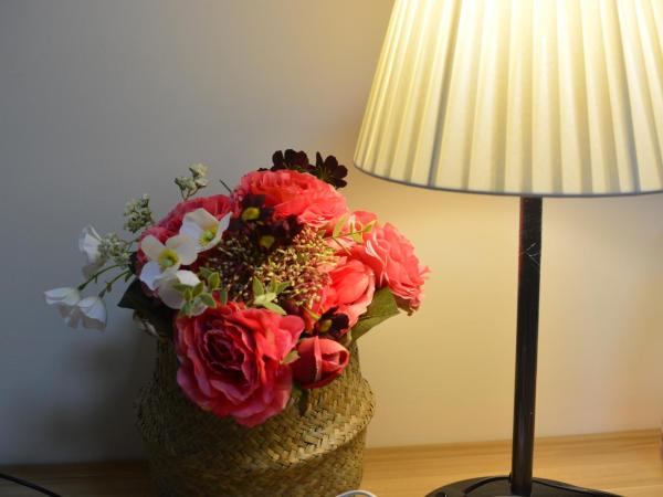 YoYo Youth Apartment : photo 6 de la chambre lit simple dans dortoir pour femmes
