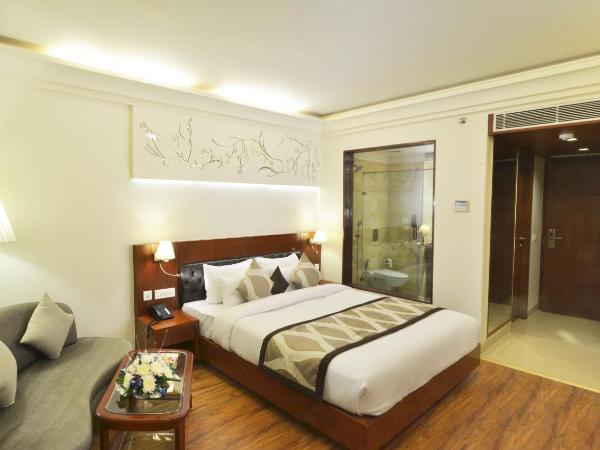 Hotel Regent Grand : photo 4 de la chambre premium room with complimentary upgrade to next category