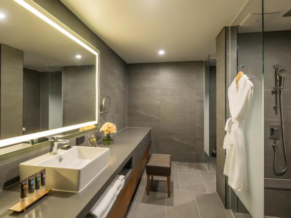 Novotel Ambassador Seoul Dongdaemun Hotels & Residences : photo 4 de la chambre chambre lit king-size deluxe résidence