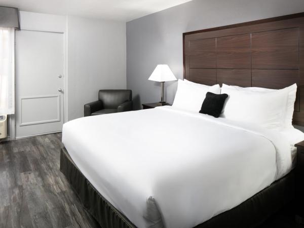 Red Lion Inn & Suites Tucson Downtown : photo 4 de la chambre chambre lit king-size - non-fumeurs