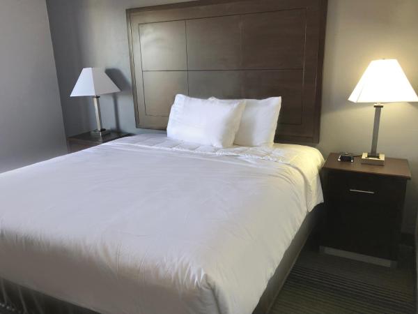 Red Lion Inn & Suites Tucson Downtown : photo 1 de la chambre chambre standard lit queen-size