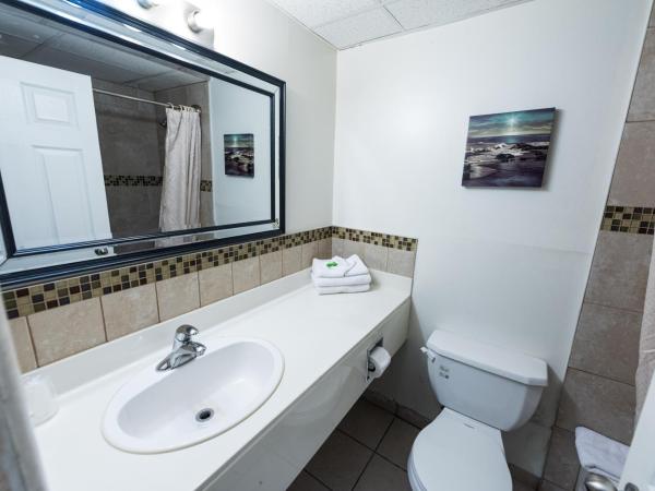 Olympia Lodge : photo 9 de la chambre chambre standard lit queen-size