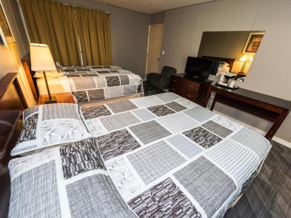 Olympia Lodge : photo 9 de la chambre chambre avec 2 grands lits queen-size 