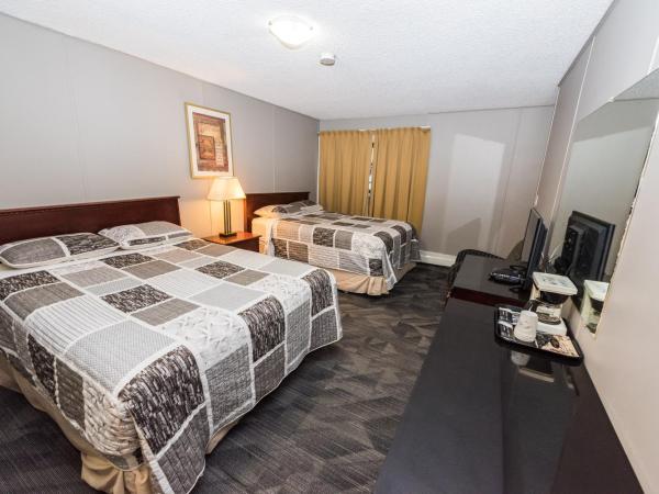 Olympia Lodge : photo 10 de la chambre chambre avec 2 grands lits queen-size 