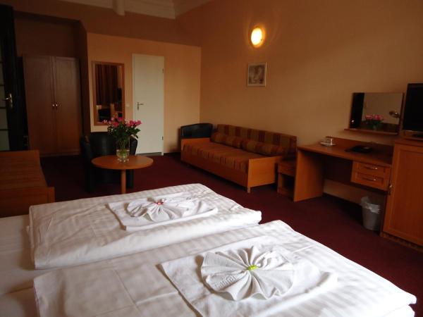 Hotel Aster an der Messe : photo 5 de la chambre chambre familiale