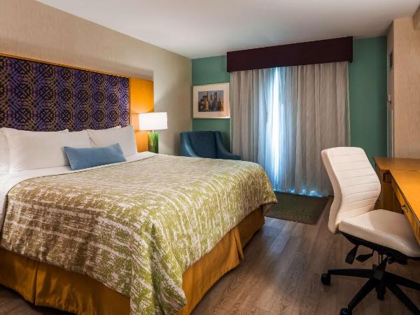 Best Western Premier Toronto Airport Carlingview Hotel : photo 6 de la chambre chambre lit king-size - non-fumeurs