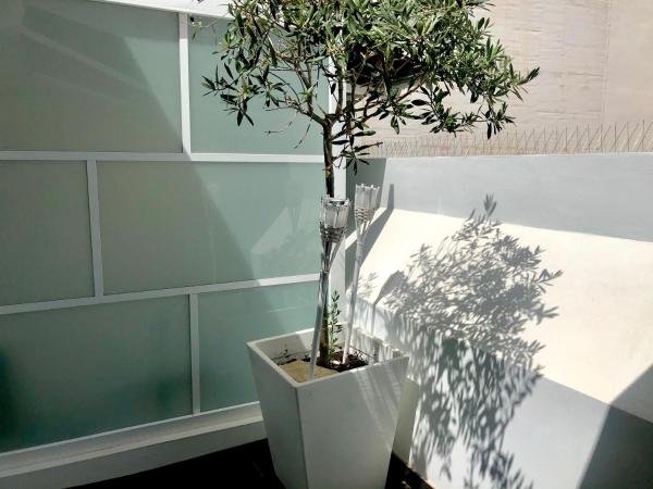 Hotel Alamo : photo 5 de la chambre chambre deluxe double ou lits jumeaux