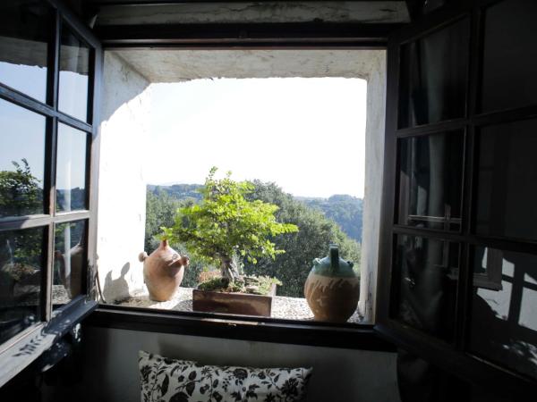 la maison aux bonsais : photo 8 de la chambre suite - vue sur montagne