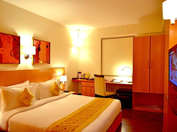 The Theme, Jaipur : photo 6 de la chambre chambre double deluxe