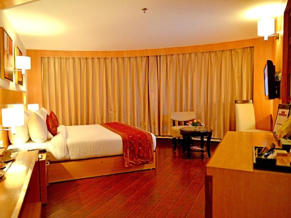 The Theme, Jaipur : photo 3 de la chambre chambre double exécutive 