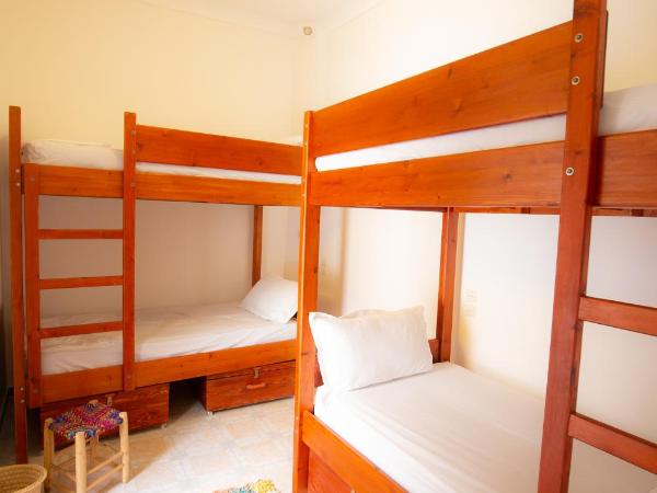 Mosaic Hostel : photo 1 de la chambre lit dans dortoir 6 lits