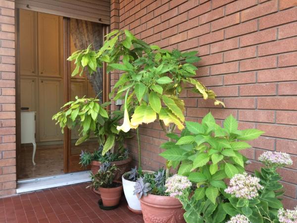 B&B Pergolesi : photo 10 de la chambre chambre lits jumeaux avec balcon