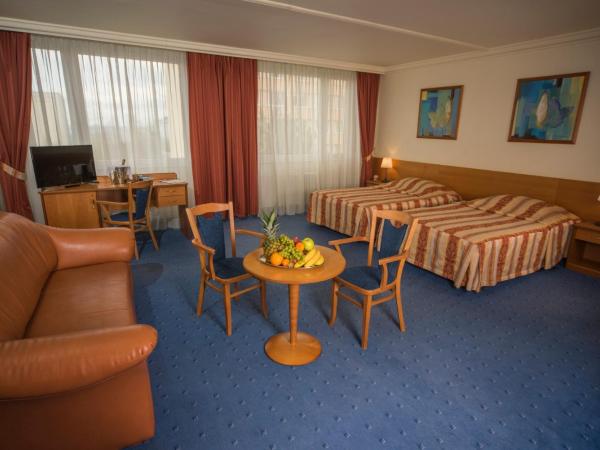 TOP HOTEL Praha : photo 2 de la chambre chambre double ou lits jumeaux exécutive - parking gratuit
