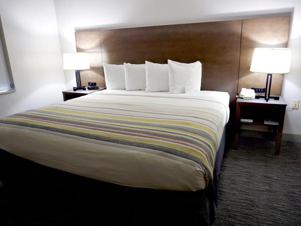 Country Inn & Suites by Radisson, Tampa-Brandon, FL : photo 4 de la chambre suite 1 chambre lit king-size avec canapé-lit - non-fumeurs