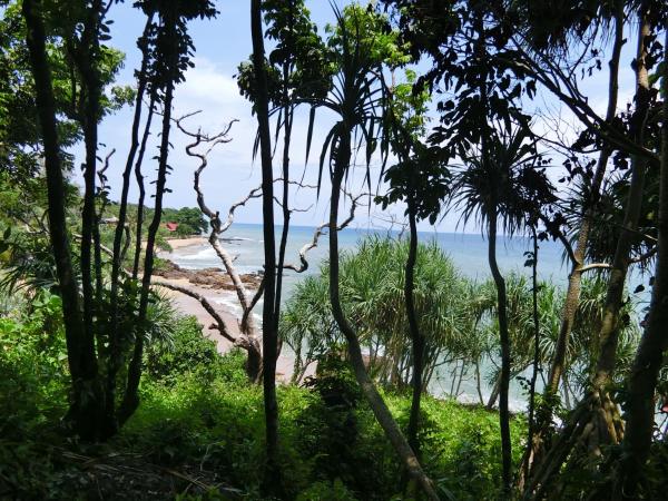 The Narima - SHA Plus : photo 3 de la chambre bungalow - vue sur mer 