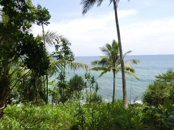 The Narima - SHA Plus : photo 1 de la chambre bungalow - vue sur mer 