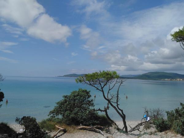 B&B Gaudì : photo 7 de la chambre chambre double standard avec salle de bains privative