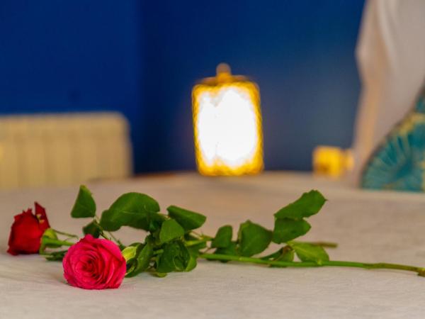 Riad Tahra & Spa : photo 5 de la chambre chambre double ou lits jumeaux supérieure