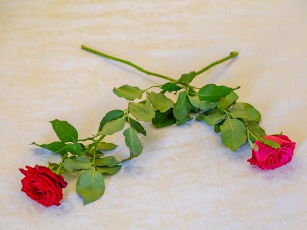 Riad Tahra & Spa : photo 2 de la chambre  chambre double ou lits jumeaux standard - rhalya