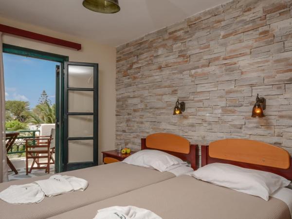 Hotel Naxos Beach : photo 7 de la chambre chambre lits jumeaux standard