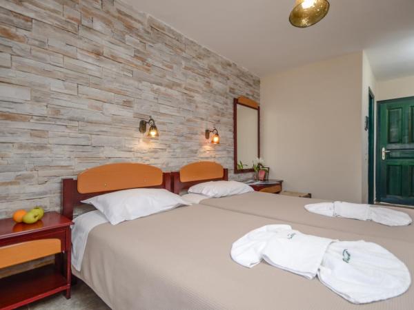 Hotel Naxos Beach : photo 6 de la chambre chambre lits jumeaux standard