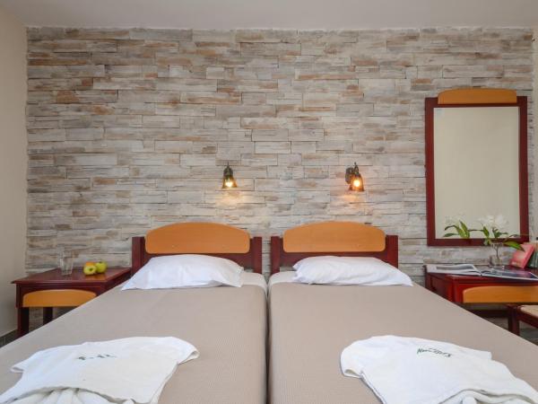 Hotel Naxos Beach : photo 1 de la chambre chambre lits jumeaux standard