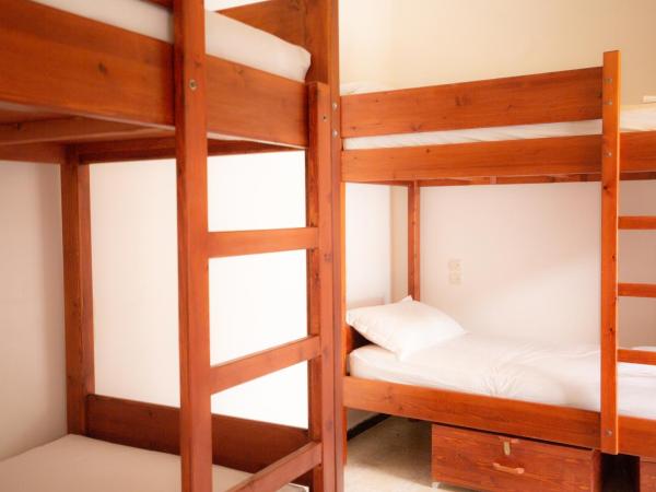 Mosaic Hostel : photo 2 de la chambre lit dans dortoir 6 lits