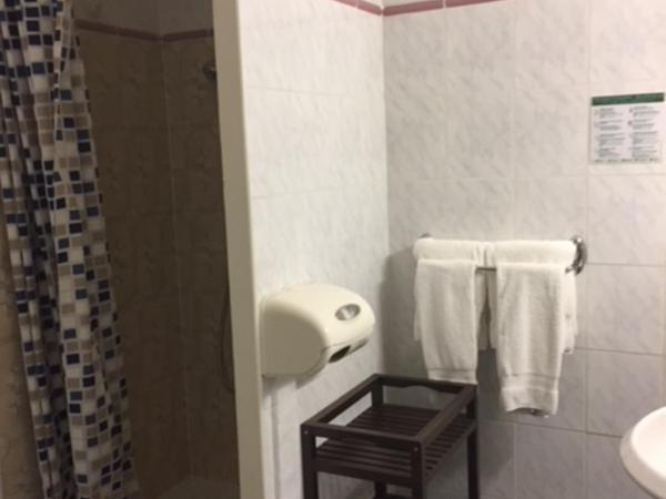 Logis Hotel du Midi : photo 3 de la chambre chambre double confort avec douche et vue sur la rue