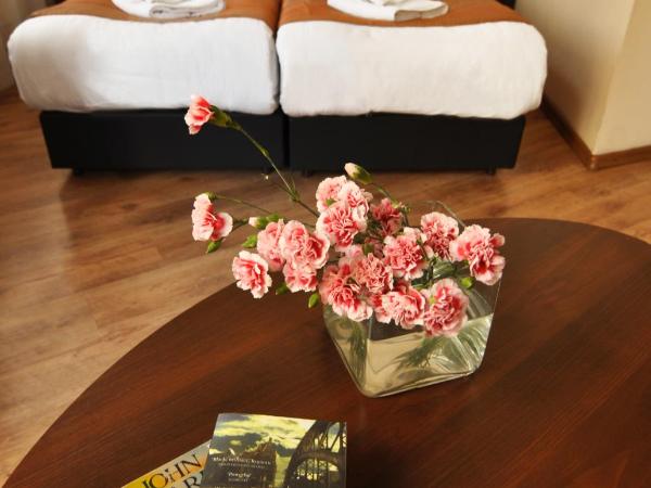 Spatz Aparthotel : photo 7 de la chambre chambre double ou lits jumeaux