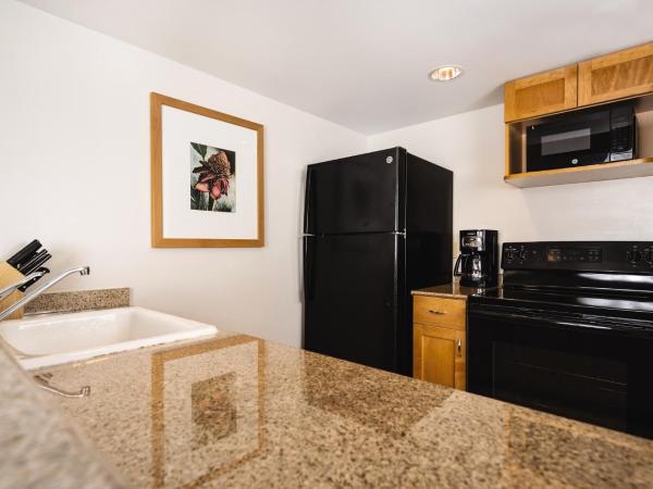 Waikiki Marina Resort at the Ilikai : photo 6 de la chambre studio - vue sur ville