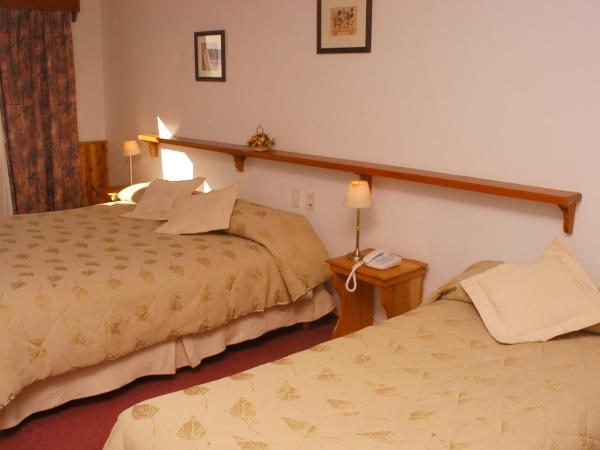 Hotel Huemul : photo 2 de la chambre chambre double ou lits jumeaux Économique
