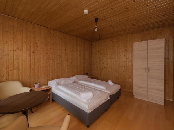 Metro Apartments Vienna : photo 2 de la chambre chambre double Économique