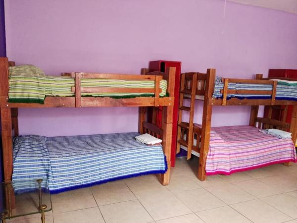 Olga Querida B&B Hostal : photo 4 de la chambre lit simple dans dortoir pour femmes