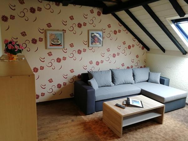 Boardinghouse Castell : photo 2 de la chambre appartement