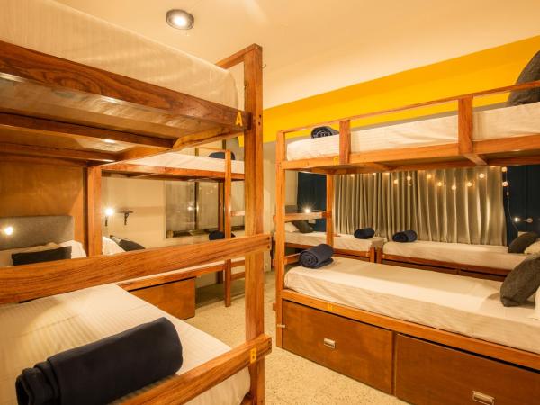 Locomo Mumbai - Stay Work Eat : photo 1 de la chambre lit dans dortoir pour femmes de 8 lits