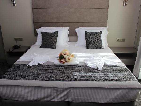 Anka Premium Hotel : photo 2 de la chambre chambre double