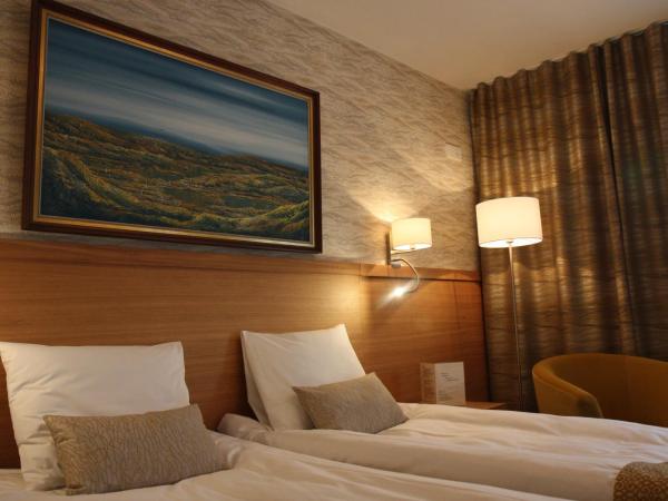 Hotel Aakenus : photo 10 de la chambre chambre lits jumeaux