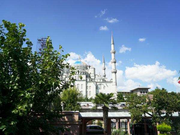 Sultanahmet Palace Hotel : photo 4 de la chambre deluxe room with blue mosque view 