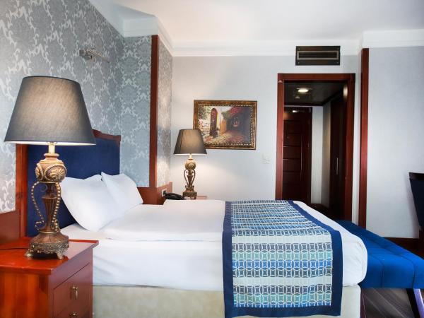 Boutique Princess Hotel : photo 6 de la chambre chambre lit king-size standard